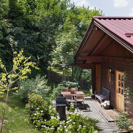 Ferienhaeuser Gerhart Haus im Ennstal Exteriér fotografie