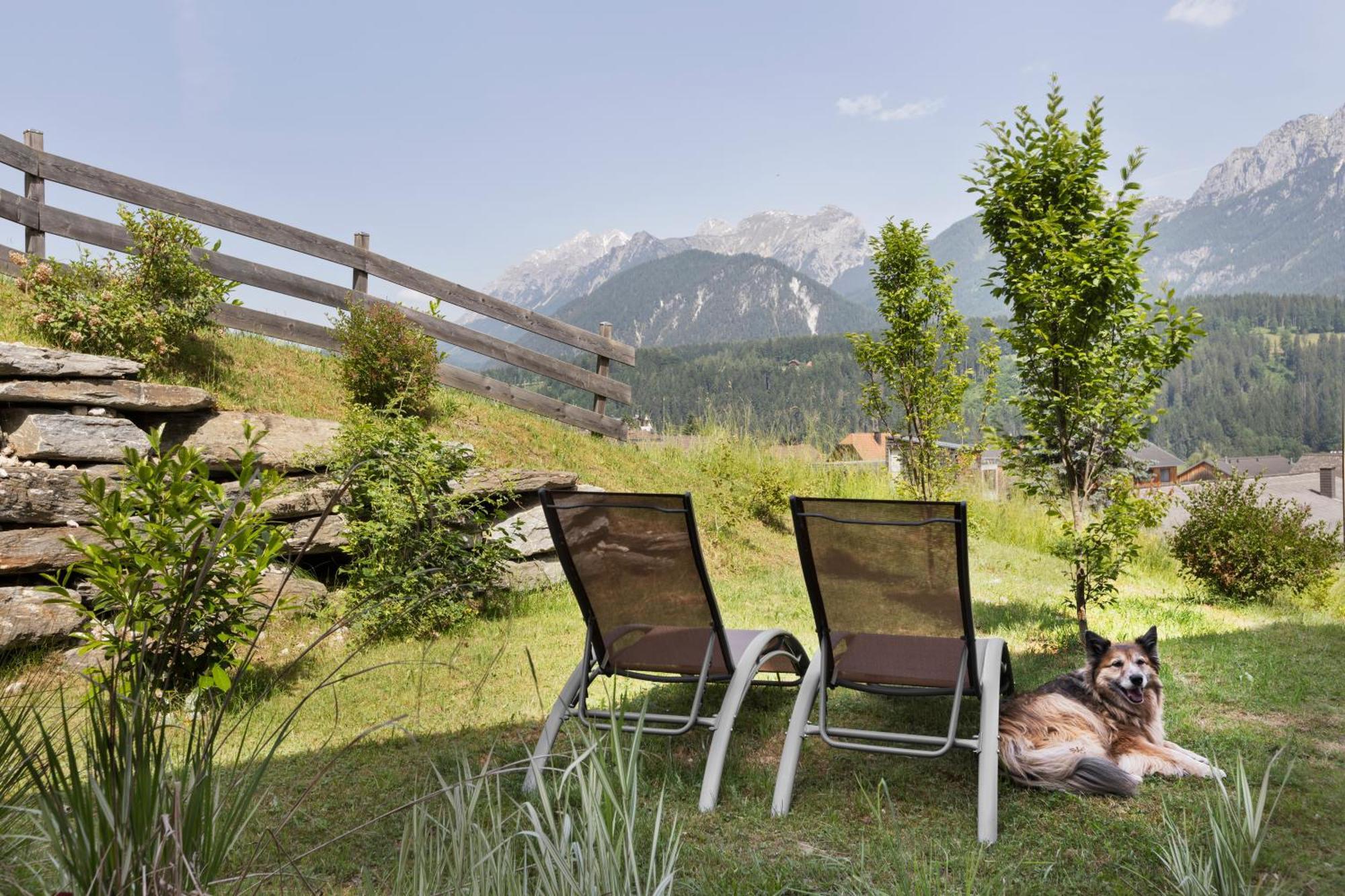 Ferienhaeuser Gerhart Haus im Ennstal Exteriér fotografie